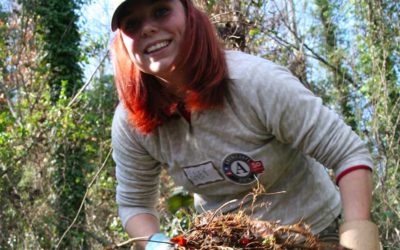 This Cemetery Has Roots… A day of hands on service for MLK day.