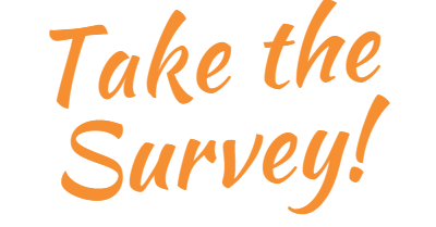 Survey of E-Mentoring in Virginia