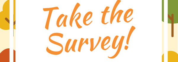 Survey of E-Mentoring in Virginia