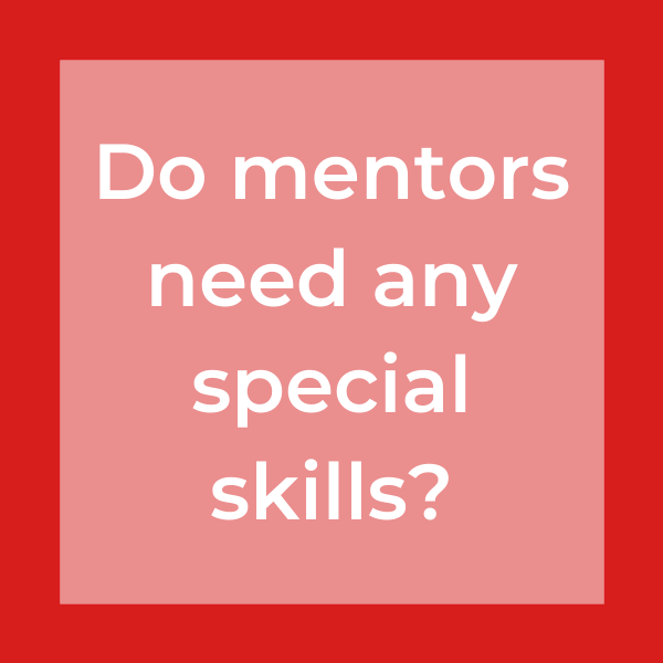 do mentors need any special skills?